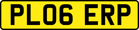 PL06ERP