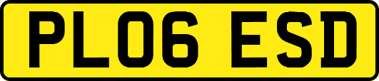 PL06ESD
