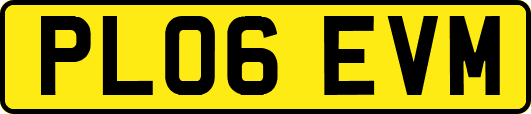 PL06EVM