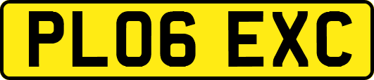 PL06EXC