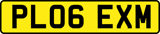 PL06EXM
