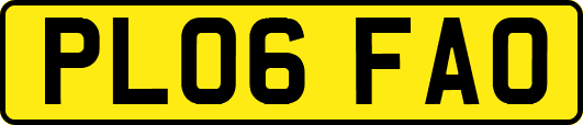 PL06FAO