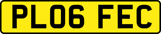 PL06FEC