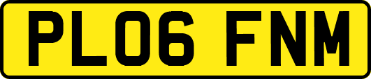PL06FNM