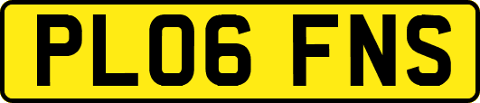 PL06FNS