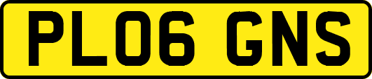 PL06GNS