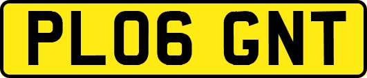 PL06GNT