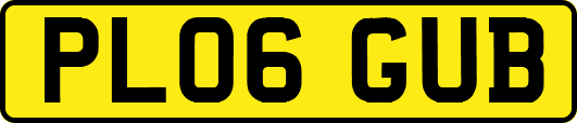 PL06GUB
