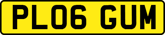 PL06GUM