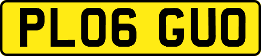 PL06GUO