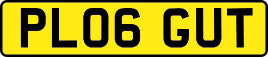 PL06GUT