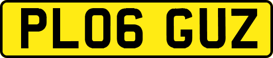 PL06GUZ