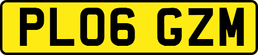 PL06GZM
