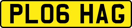 PL06HAG