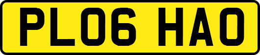 PL06HAO