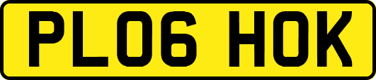 PL06HOK
