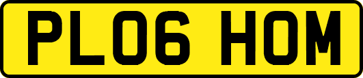 PL06HOM