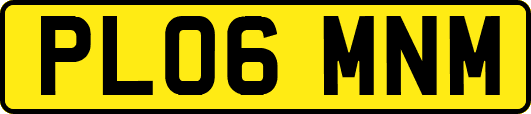 PL06MNM