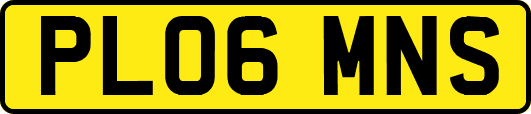 PL06MNS