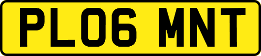 PL06MNT
