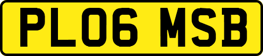PL06MSB