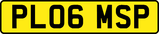 PL06MSP