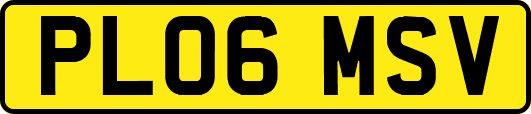 PL06MSV