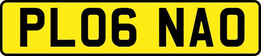 PL06NAO