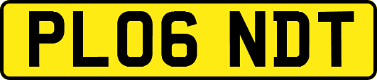 PL06NDT