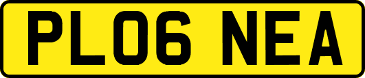 PL06NEA