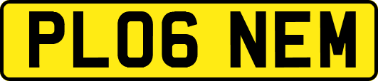 PL06NEM