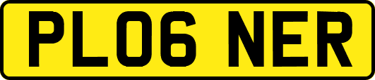 PL06NER