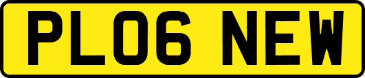 PL06NEW