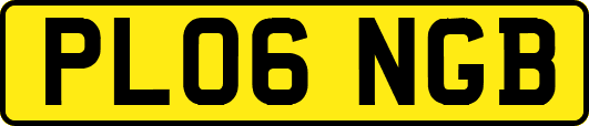 PL06NGB