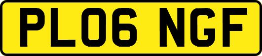 PL06NGF