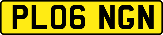 PL06NGN