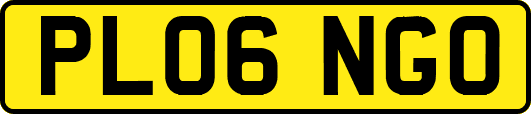 PL06NGO
