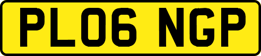 PL06NGP