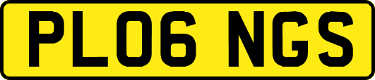 PL06NGS