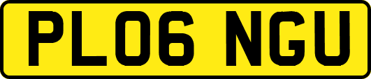 PL06NGU