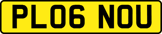 PL06NOU