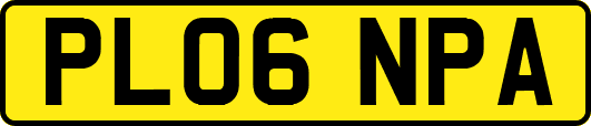 PL06NPA