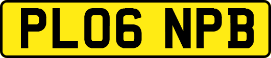 PL06NPB