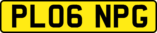 PL06NPG