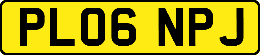 PL06NPJ