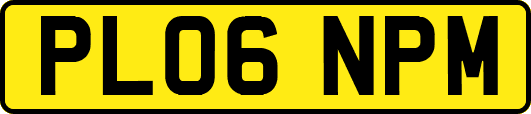 PL06NPM