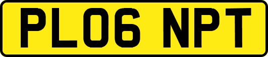 PL06NPT