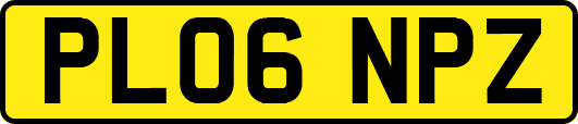 PL06NPZ