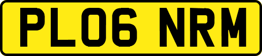 PL06NRM