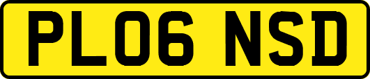 PL06NSD